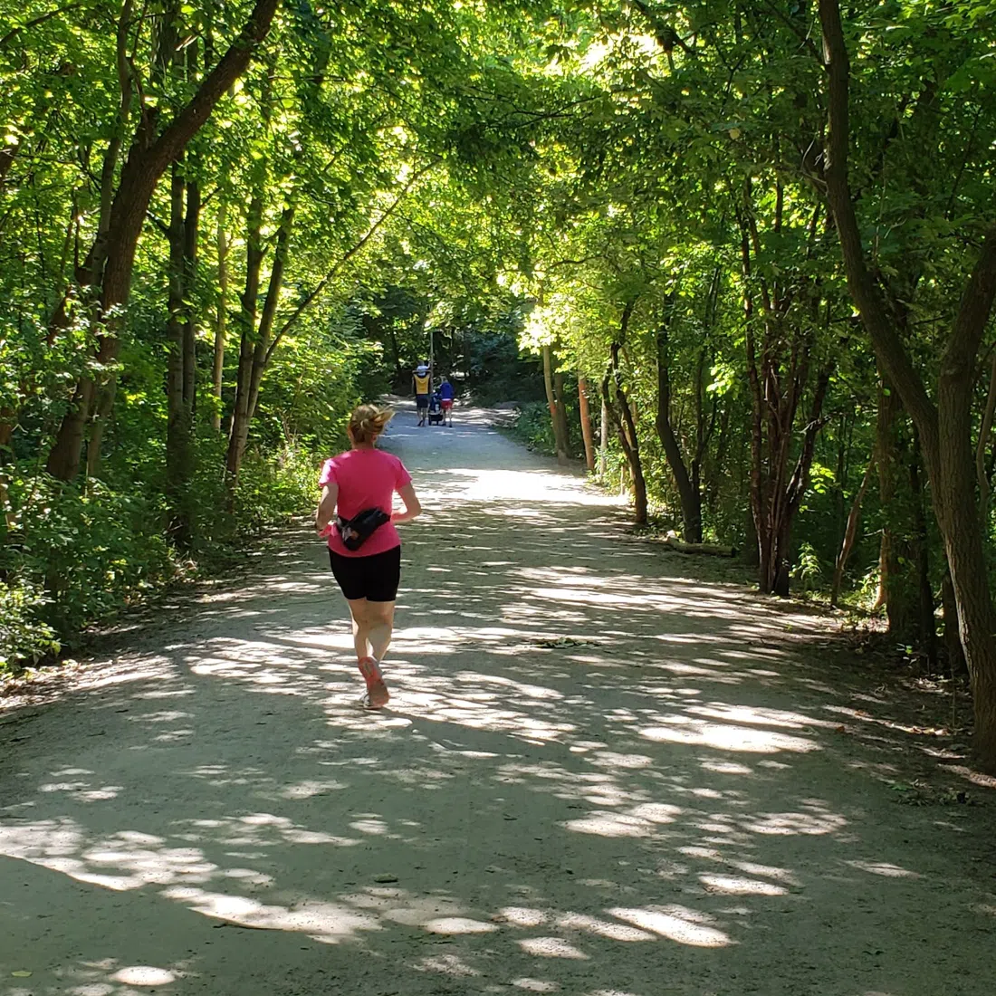 Cedarvale Ravine, Toronto