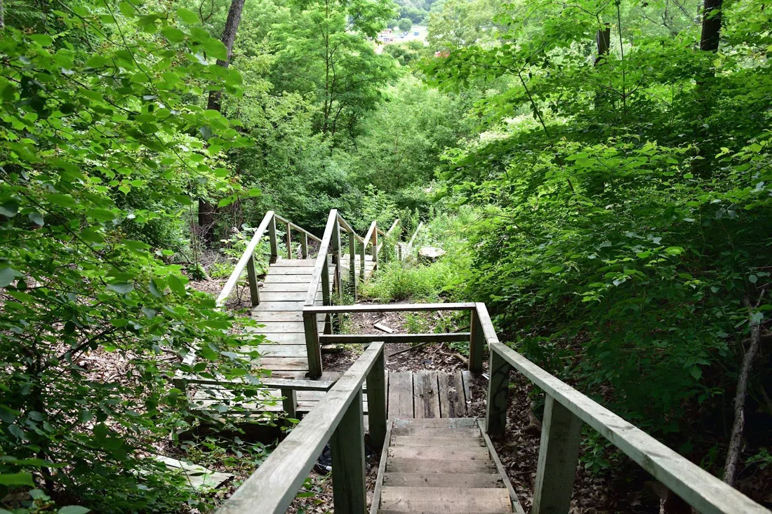 Crothers Woods, Toronto