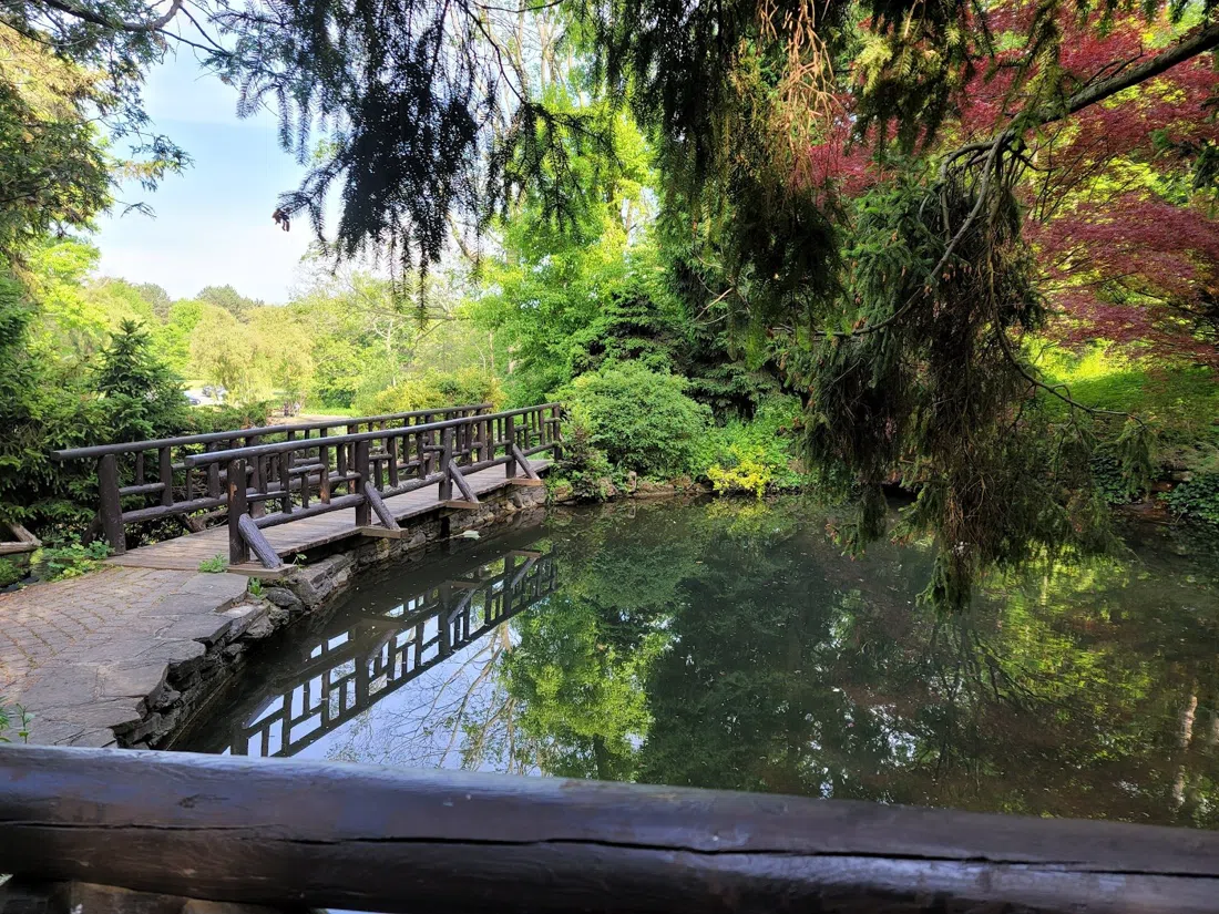 Humber River Valley (James Gardens), Toronto