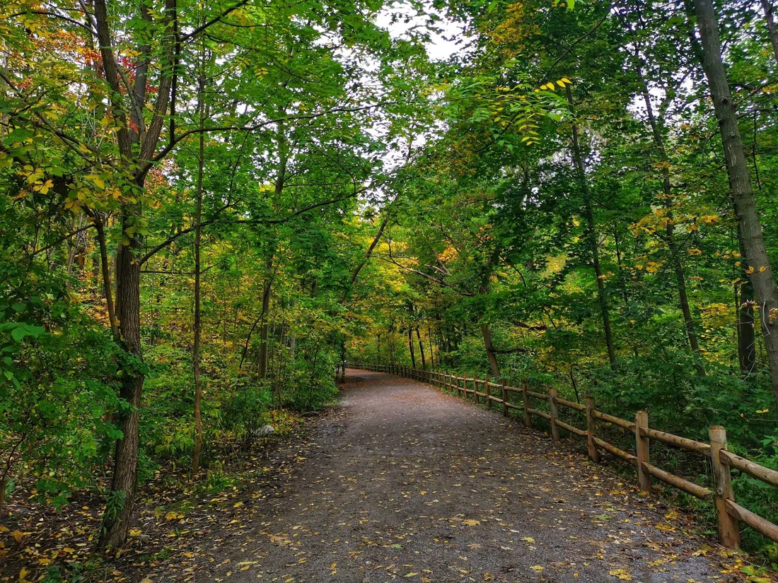 Moore Park Ravine, Toronto