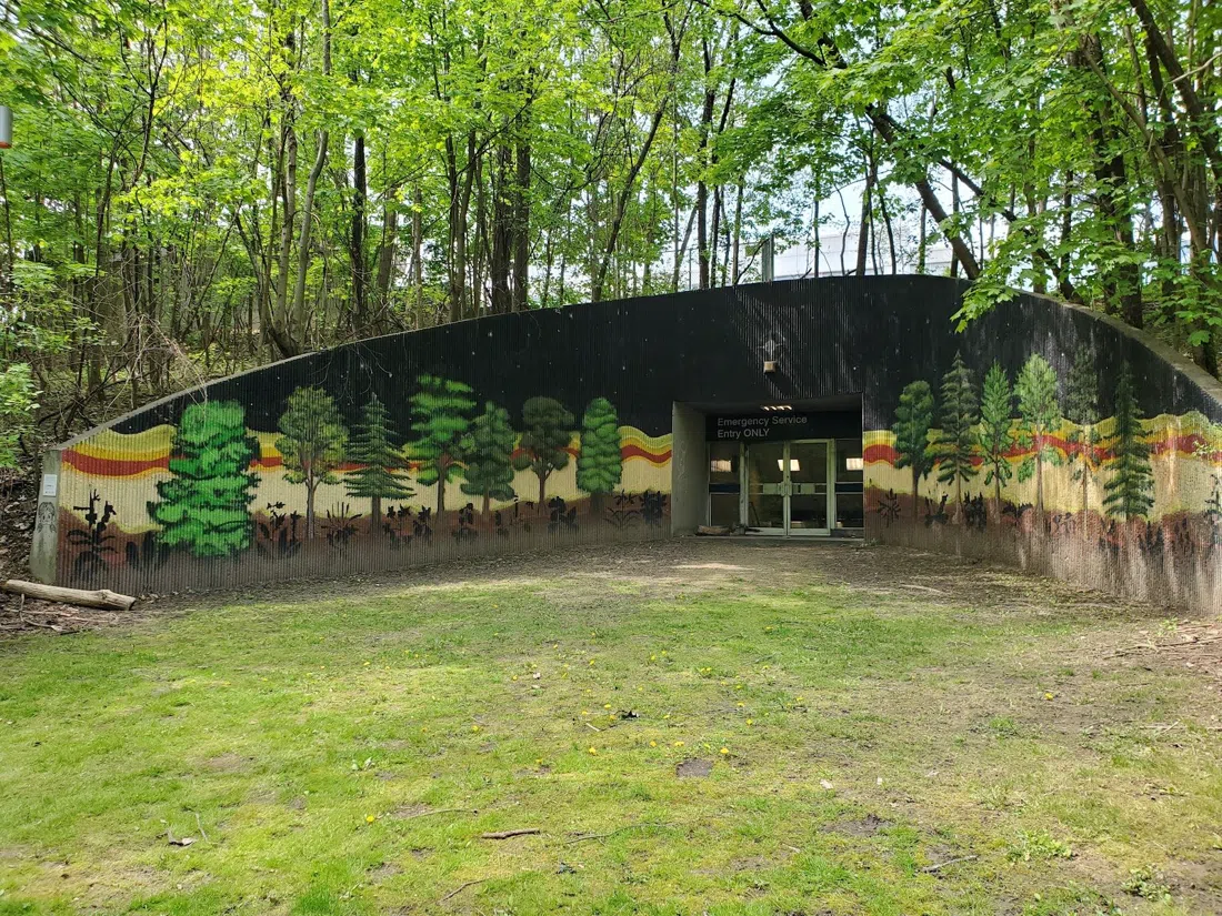 Nordheimer Ravine, Toronto