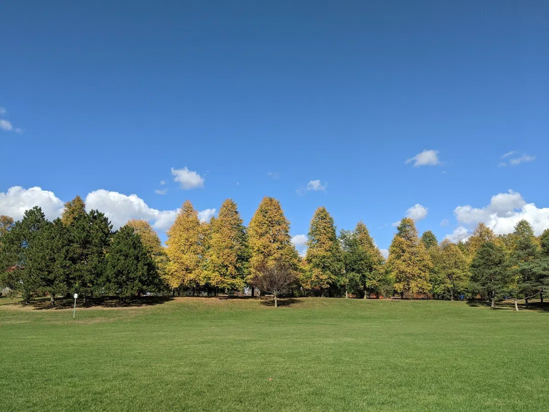 Sunnybrook Park & Wilket Creek (Edwards Gardens), Toronto